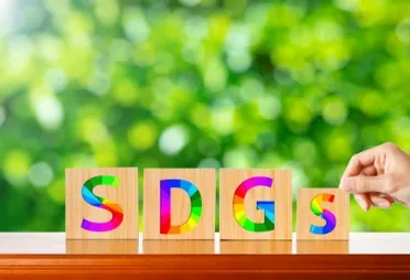 SDGs