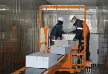 トラックから荷をおろす・積み込む、デバンダ、冷凍食品の荷おろし 冷凍食品（40フィートコンテナ）